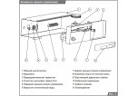 Protherm Бизон 60 NL (0010003944)